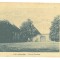 3095 - MIERCUREA SIBIULUI, Romania - old postcard - used - 1924