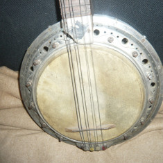 Mandolina - Banjo cu 8 coarde ,insemn calut , L=62cm, d= 25cm