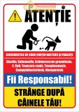 Semn pentru caini