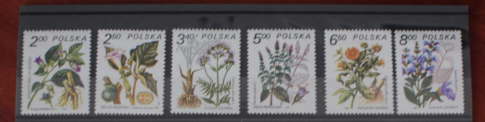 TS24/01 Timbre Polska - Nestampilat Flora