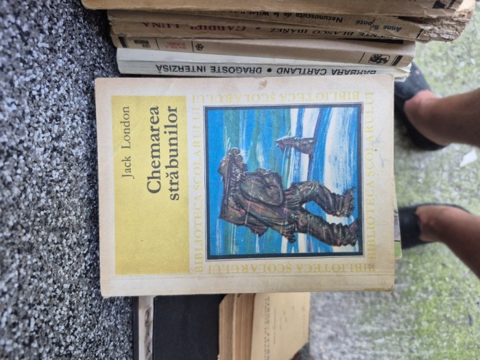 Chemarea străbunilor vintage