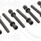 ELRING 819.824 Set surub, chiulasa