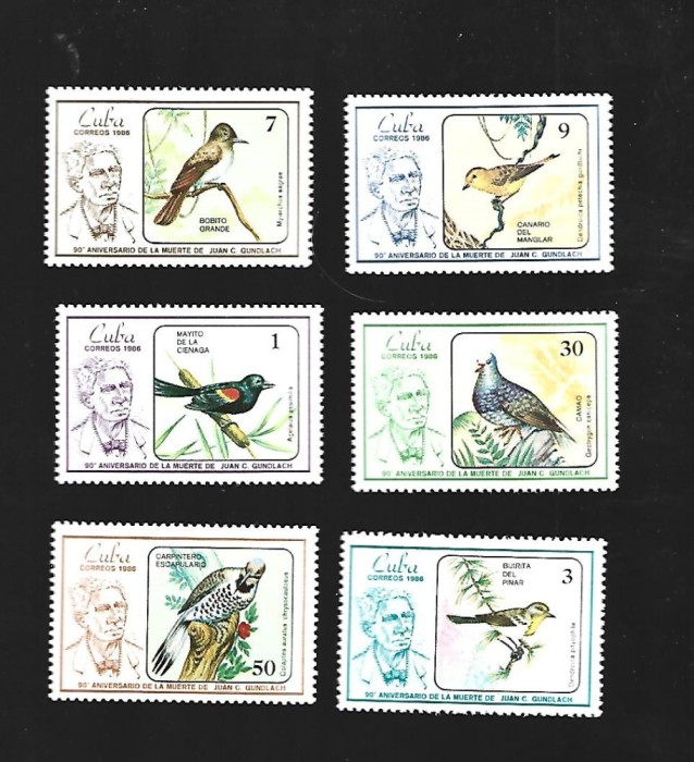 cuba pasari mnh