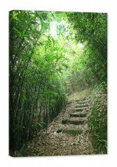 Tablou luminos in intuneric, GlowforHome, Padurea verde de bambus, 120 cm x 80 cm foto