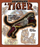 Uncover a Tiger | Ben Grossblatt, Paul Beck, Silver Dolphin