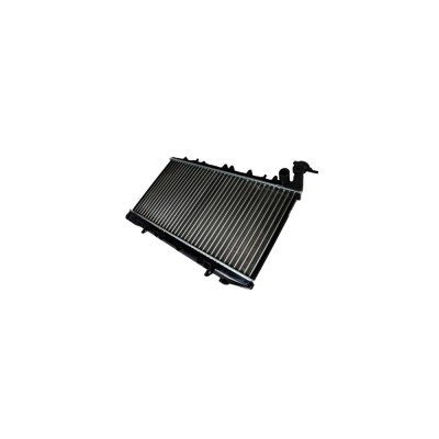 Radiator apa NISSAN ALMERA I Hatchback N15 TYC 724-1012 foto