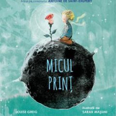 Micul Print. Bazat pe romanul lui Antoine de Saint-Exupery - Louise Greig