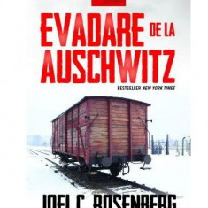 Evadare de la Auschwitz - Paperback brosat - Joel C. Rosenberg - Corint