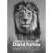 Hogyan fot&oacute;zok &eacute;n - David Yarrow - David Yarrow