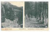 4726 - BAIA-MARE, Maramures, Park, Romania - old postcard - used - 1912, Circulata, Printata