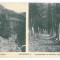4726 - BAIA-MARE, Maramures, Park, Romania - old postcard - used - 1912