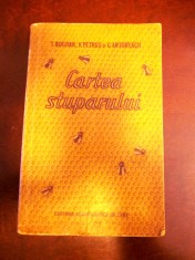 CARTEA STUPARULUI- BOGDAN, PETRUS, ANTONESCU, R1A foto