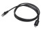 Foto  - 1