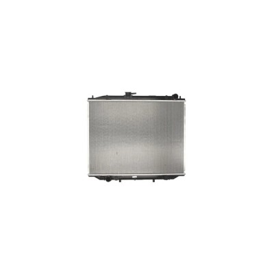 Radiator apa NISSAN TERRANO II R20 AVA Quality Cooling DN2300 foto