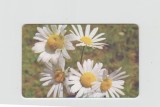 bnk card Cartele telefonice - Romania Romtelecom 2003 Flowers 9 (1st Printing) - Col:RO-ROM-0187B