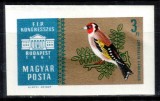 Ungaria 1961, Mi #1786 B**, nedantelat, timbru din serie, fauna, pasari, MNH. Cota 32,- &euro;!, Nestampilat