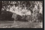 CPI B13623 CARTE POSTALA - SIBIU - VEDERE DIN DUMBRAVA, RPR, Necirculata, Fotografie
