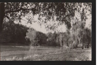 CPI B13623 CARTE POSTALA - SIBIU - VEDERE DIN DUMBRAVA, RPR foto