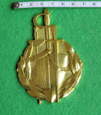 Medalie Federatia Romana de Scrima foto