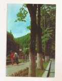RF197 - Carte Postala - Slanic Moldova, necirculata