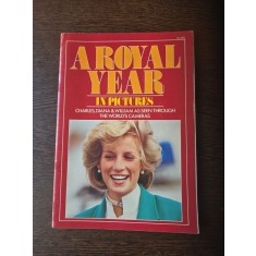 A Royal Year in Pictures - Charles, Diana and William as seen through the world s cameras.