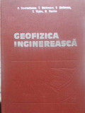 GEOFIZICA INGINEREASCA-P. CONSTANTINESCU, T. MOLDOVEANU, D. STEFANESCU, C. VAJDEA, M. VISARION