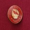 Insigna Congresul IX 1971 UTC