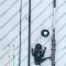 SET FEEDER Lanseta SENSE FEEDER 3,30m + Mulineta SPARKLER 4000 + 150m fir