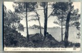 AD 77 C. P. VECHE- CARANTEC(FINISTERE)-LE BOIS DE SAPINS -BAIE DE MORLAIX-FRANTA, Circulata, Printata