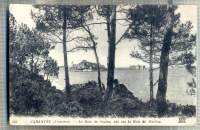 AD 77 C. P. VECHE- CARANTEC(FINISTERE)-LE BOIS DE SAPINS -BAIE DE MORLAIX-FRANTA foto