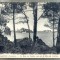 AD 77 C. P. VECHE- CARANTEC(FINISTERE)-LE BOIS DE SAPINS -BAIE DE MORLAIX-FRANTA