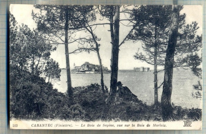 AD 77 C. P. VECHE- CARANTEC(FINISTERE)-LE BOIS DE SAPINS -BAIE DE MORLAIX-FRANTA