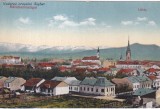Vederea orasului Sighet. Panorama (circa 1915, necirculata)