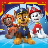 Puzzle Patrula Catelusilor, 3X49 Piese, Ravensburger