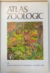 ATLAS ZOOLOGIC de CONSTANTIN BOGOESCU , ALEXANDRU DABIJA , EMIL SANIELEVICI , 1980 foto