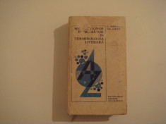 Mic dictionar indrumator in terminologia literara - Gh. Ghita/C. Fierascu 1979 foto