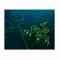 Mousepad Razer Goliathus Mobile