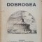 DOBROGEA-APOSTOL D. CULEA-237555