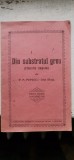 P. P. Popescu (Dela Hinta) - Din substratul greu (Filozofia timpului)