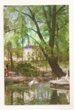 RF54 -Carte Postala- Bucuresti, Gradina Cismigiu, necirculata 1962