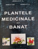 Ardelean A., Mohan Gh., Nedelcu G. - Plante medicinale din Banat