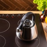 Fierbator argintiu lucios, ceainic din otel cu fluier, 2.5 L, Klausberg