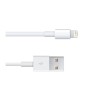 Cablu iPhone iPad 3 mini iPad iPod Touch 1m, Oem
