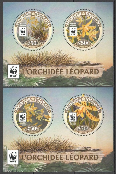 TOGO 2016 WWF FAUNA SI FLORA PROTEJATA ORHIDEE