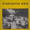 Stuparitul nou - Const. L. Hristea
