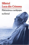 Patimirea curateste sufletul - Sfantul Luca din Crimeea