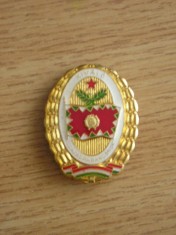 QW9 N 33 - insigna - militar - Ungaria Kivalo Szazadparancnok - Specialist clasa