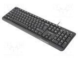 Tastatură NATEC neagră USB A, 104 butoane, CZ și SK layout, slim, cu cablu 1,8m