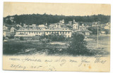 5382 - PREDEAL, panorama, Romania - old postcard - used - 1905, Circulata, Printata