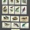 NORFOLK MNH